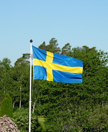 Flaggstång med Svenska flaggan som gnistrar i solsken med skog bakom