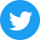 Twitter blue round logo